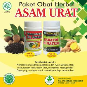cara mengobati asam urat herbal