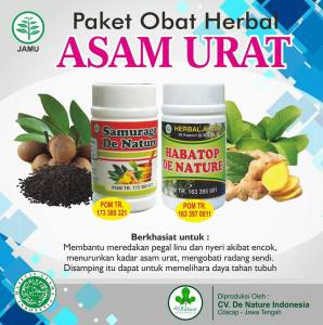 cara menyembuhkan asam urat dengan cepat