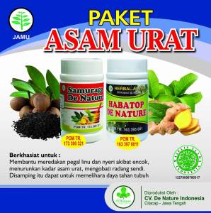 cara mengobati asam urat cara tradisional